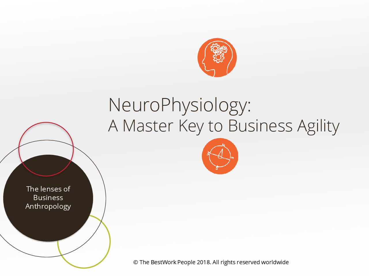 NeuroPhysiology: a Master Key to Business Agility