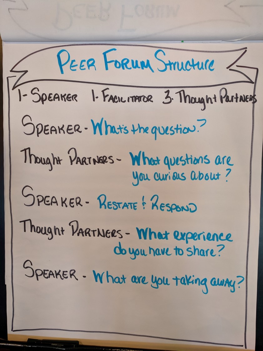 Fishbowl peer forum roles