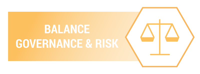 Balance Governance And Risk