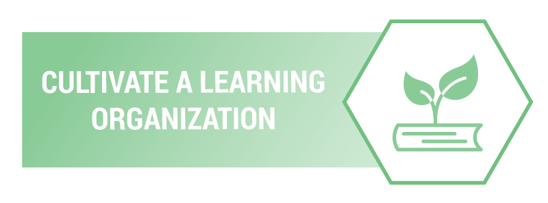 Cultivate A “Learning Organization”